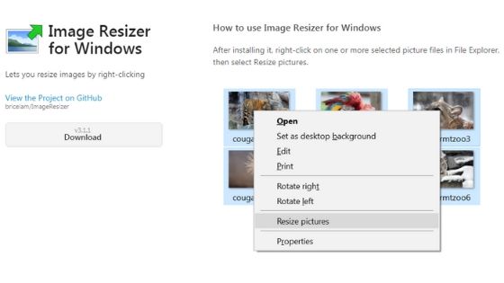 Bricelam Image Resizer for Windows