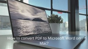 How to convert PDF to Microsoft Word on Mac